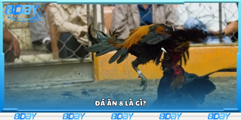Nắm rõ khái niệm đá ăn 8 là gì?